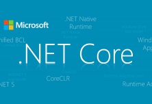 InRule Supports .NET Core!