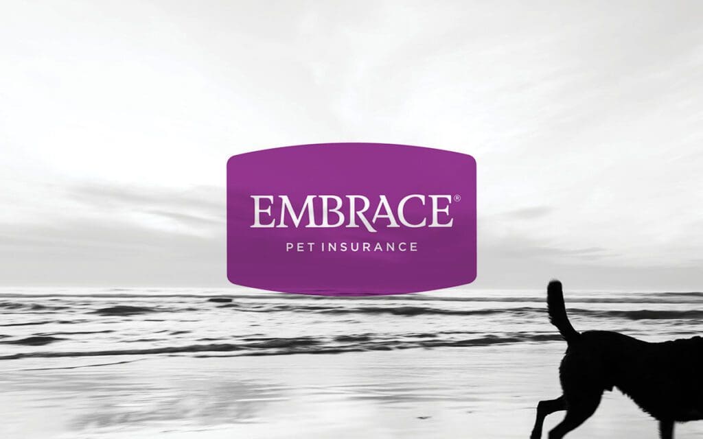 Embrace Pet Insurance Saves $6,000 per Month with Rules Engine